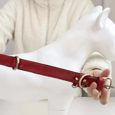 PawID - Gegraveerde Leren Hondenhalsband