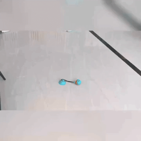 TugMax - Interactief Tug Hondspeeltje
