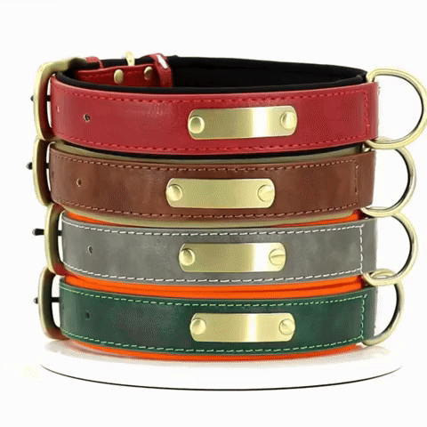 PawID - Gegraveerde Leren Hondenhalsband