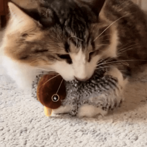 Sneaky Snake Interactief Kattenspeeltje - Bewegende Slang voor Katten Sneaky Snake Interactief Kattenspeeltje - Bewegende Slang voor Katten