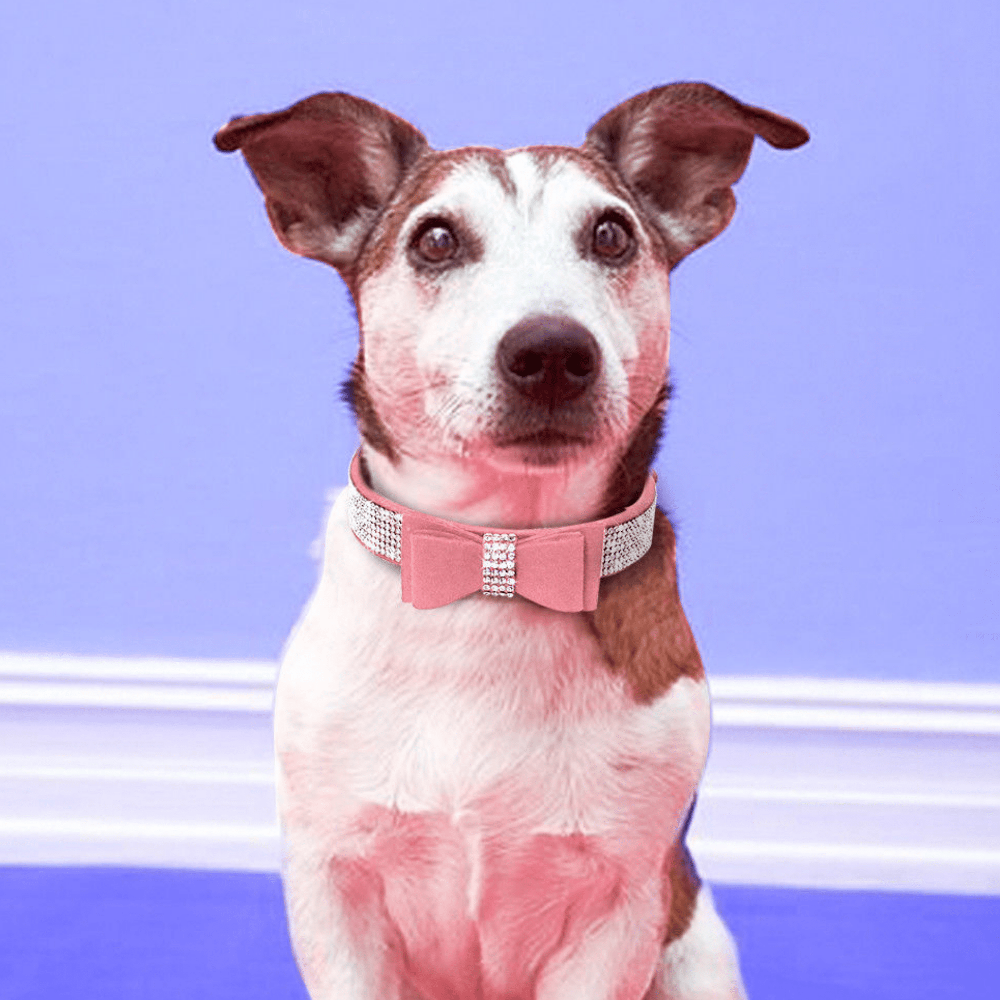 GlamPaw - Sprankelende Luxe Huisdierhalsband - Mivero