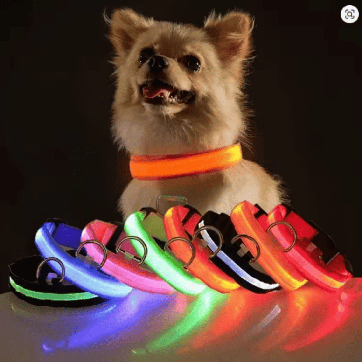 GlowPup - Oplaadbare LED Halsband - Mivero