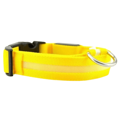 GlowPup - Oplaadbare LED Halsband - Mivero