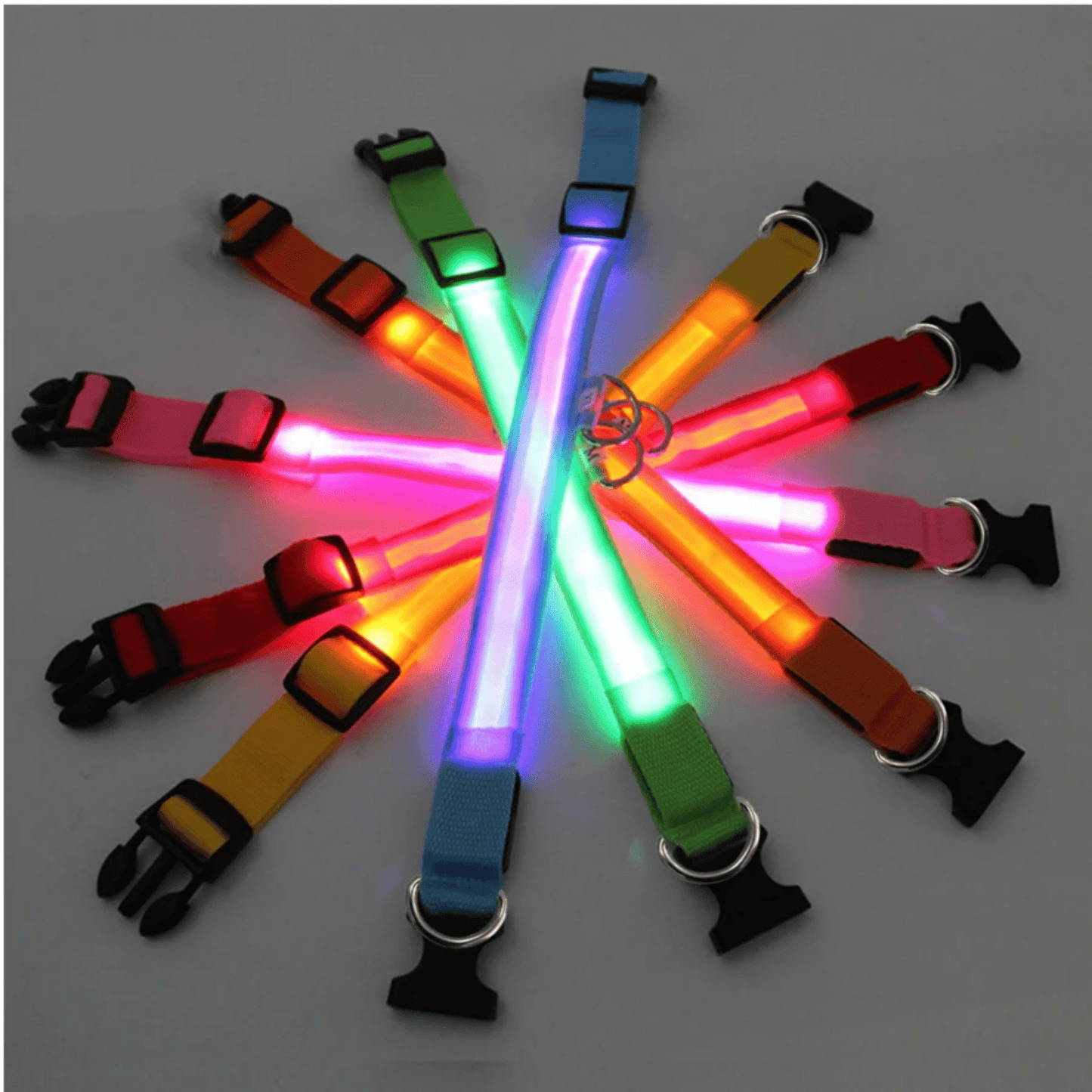 glowpup - oplaadbare led halsband - mivero
