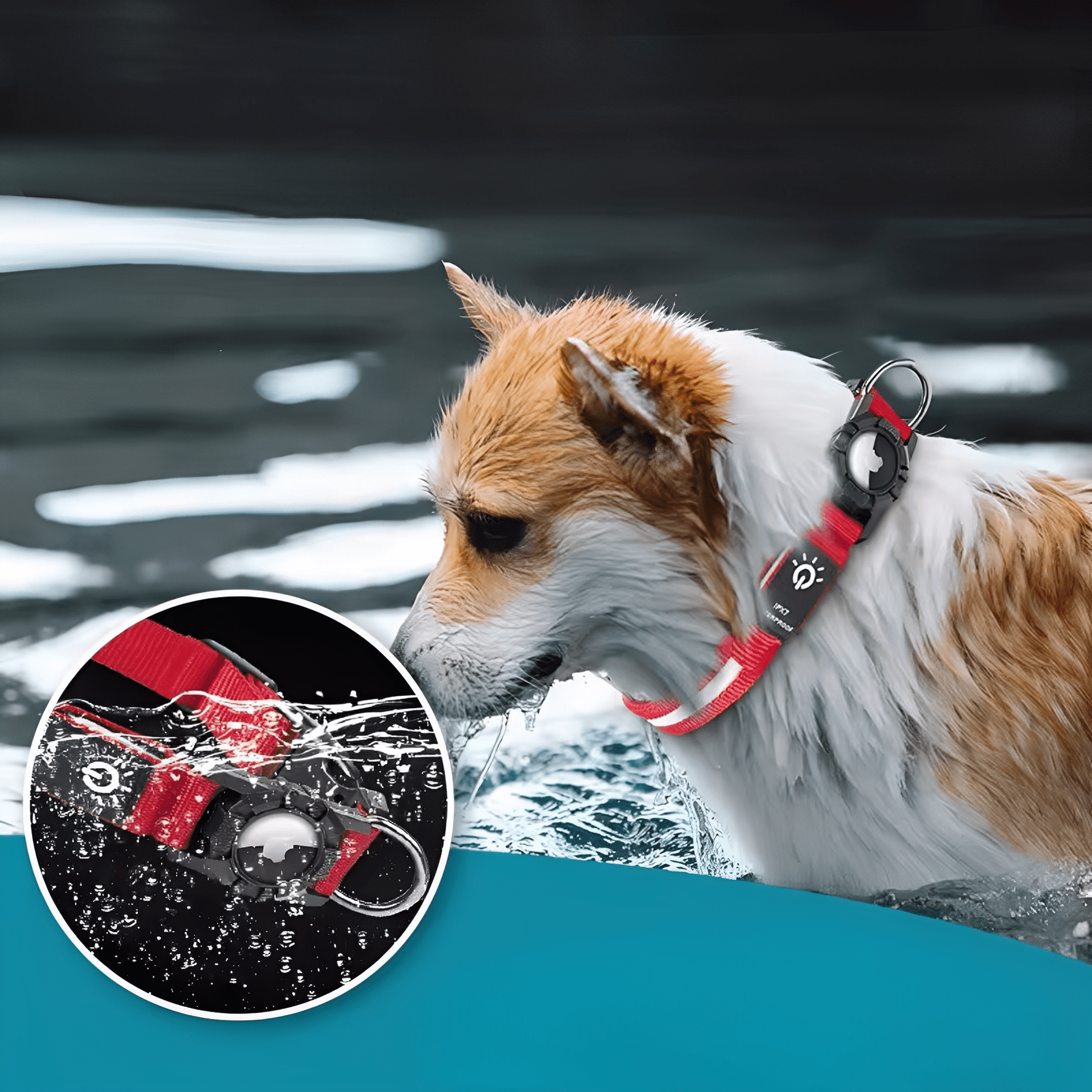 GlowTag - Waterdichte LED Dierenhalsband - Mivero
