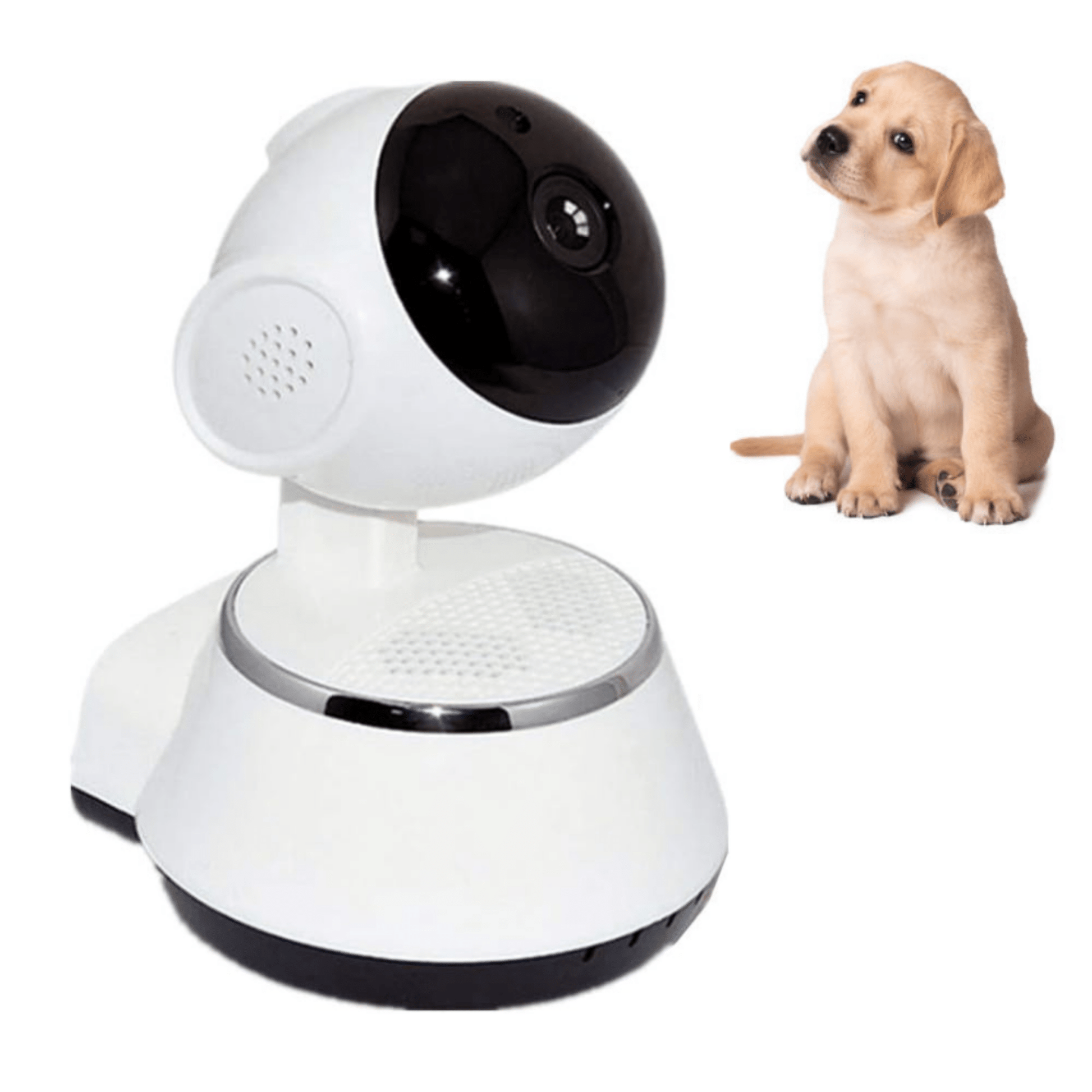 GuardiPet - WiFi Nachtzicht Huisdiercamera - Mivero