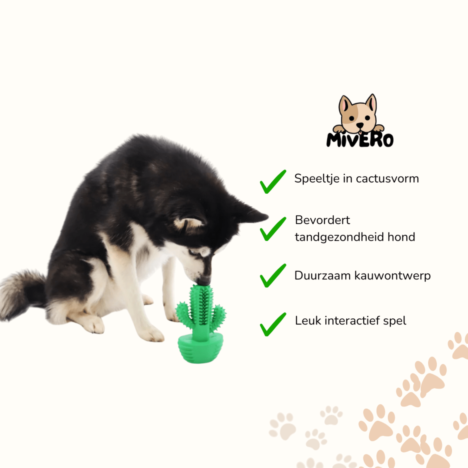 Gummle - Rubberen Cactus Hondenspeeltje - Mivero