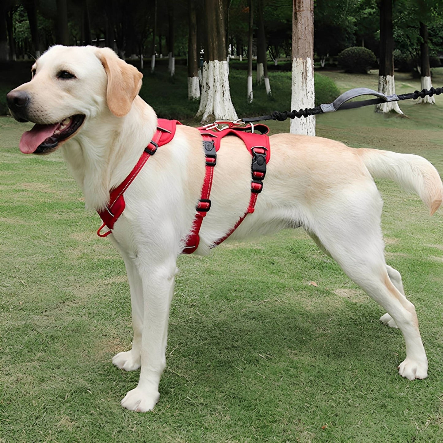 harnesspro - escapeproof verstelbaar hondentuig - mivero