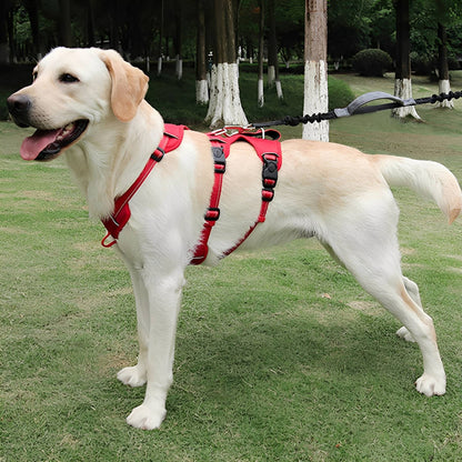 HarnessPro - Escapeproof Verstelbaar Hondentuig - Mivero