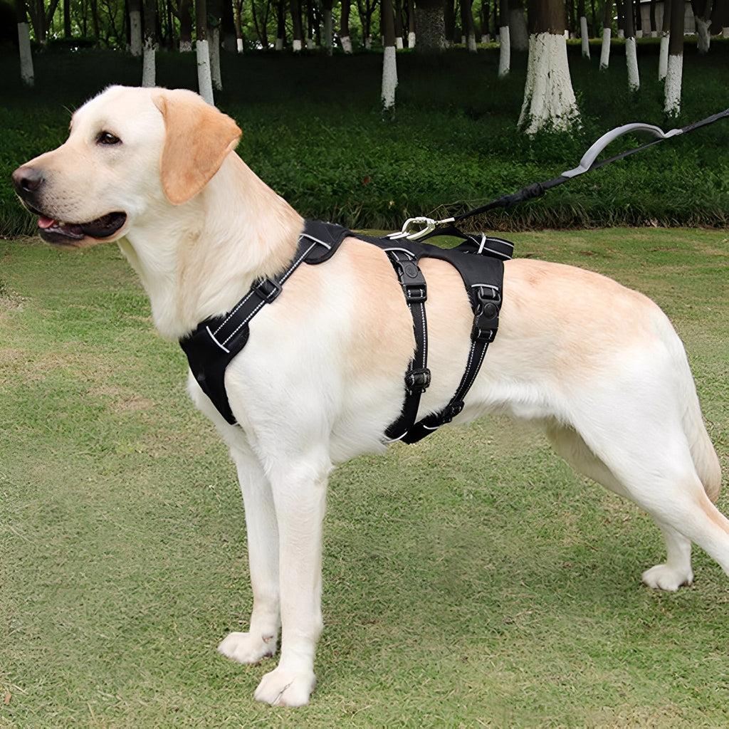 HarnessPro - Escapeproof Verstelbaar Hondentuig - Mivero