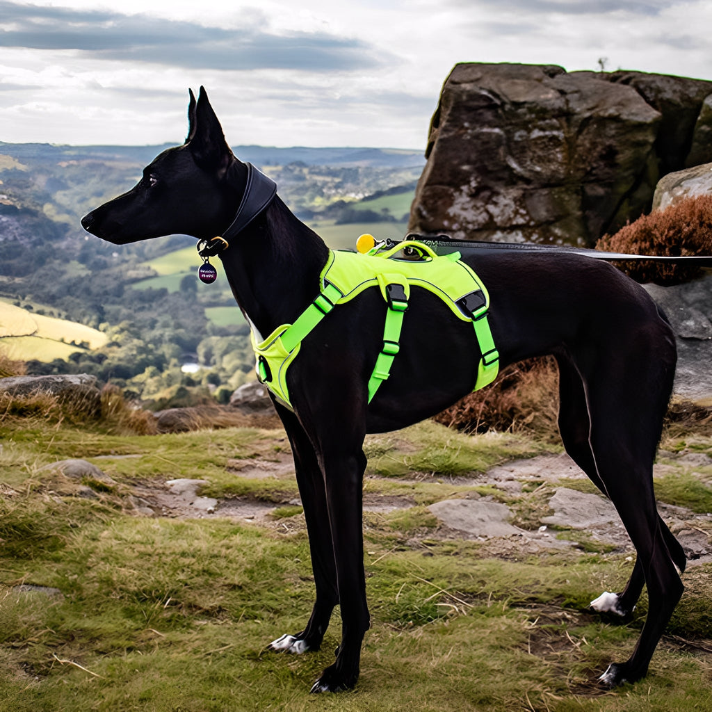 Harnest - Hondentuig Anti - Ontsnapping 3 - Punts Met Voorclip - Mivero