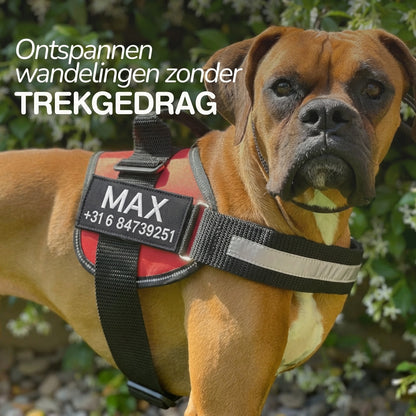 PawGuard - Gepersonaliseerd Hondentuigje