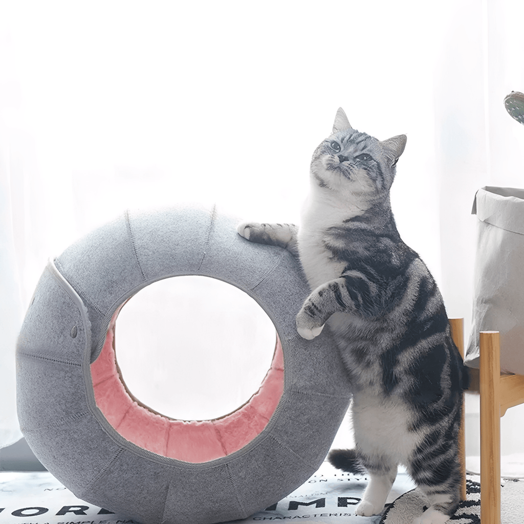 HideAway - Verstelbare Kattentunnel Bed - Mivero