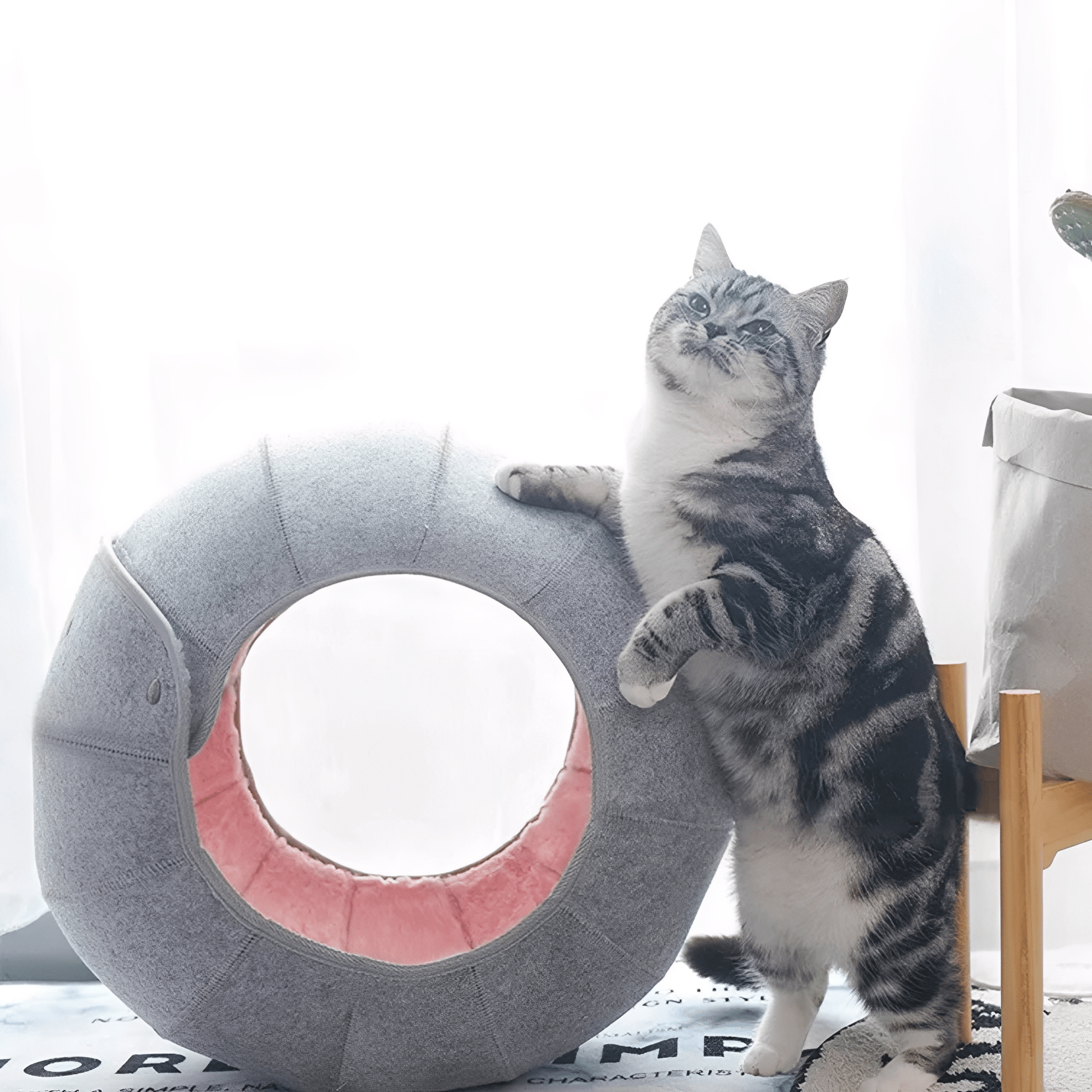 HideAway - Verstelbare Kattentunnel Bed - Mivero