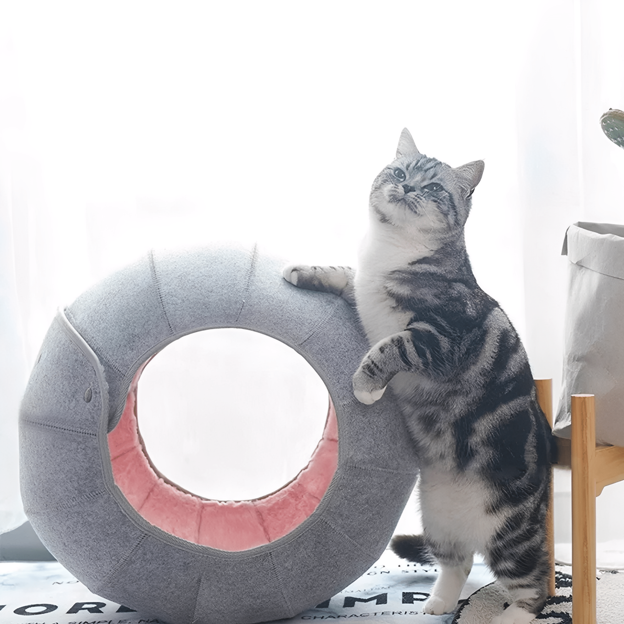 HideAway - Verstelbare Kattentunnel Bed - Mivero