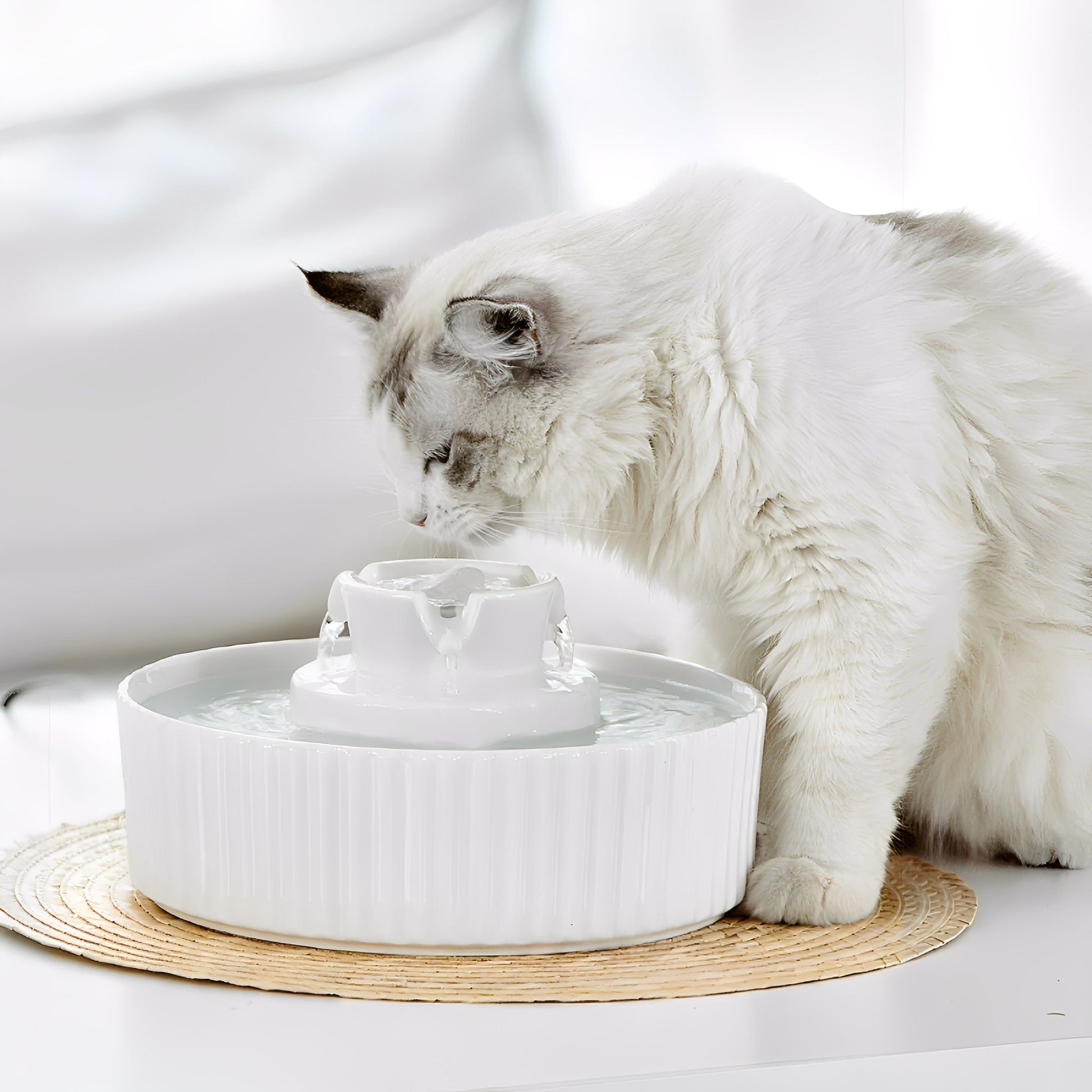 HydraPet - Keramische Stilwater Drinkfontein - Mivero