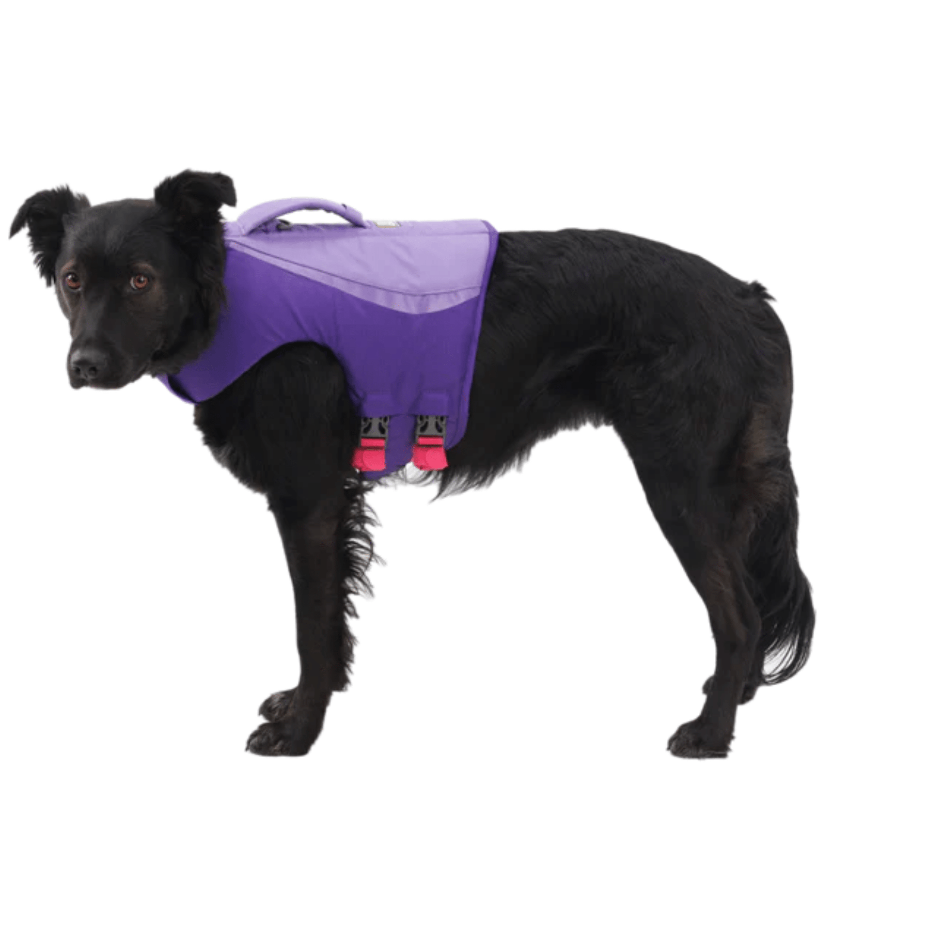 Hydrohound - Drijvend Reflecterend Hondenzwemvest - Mivero