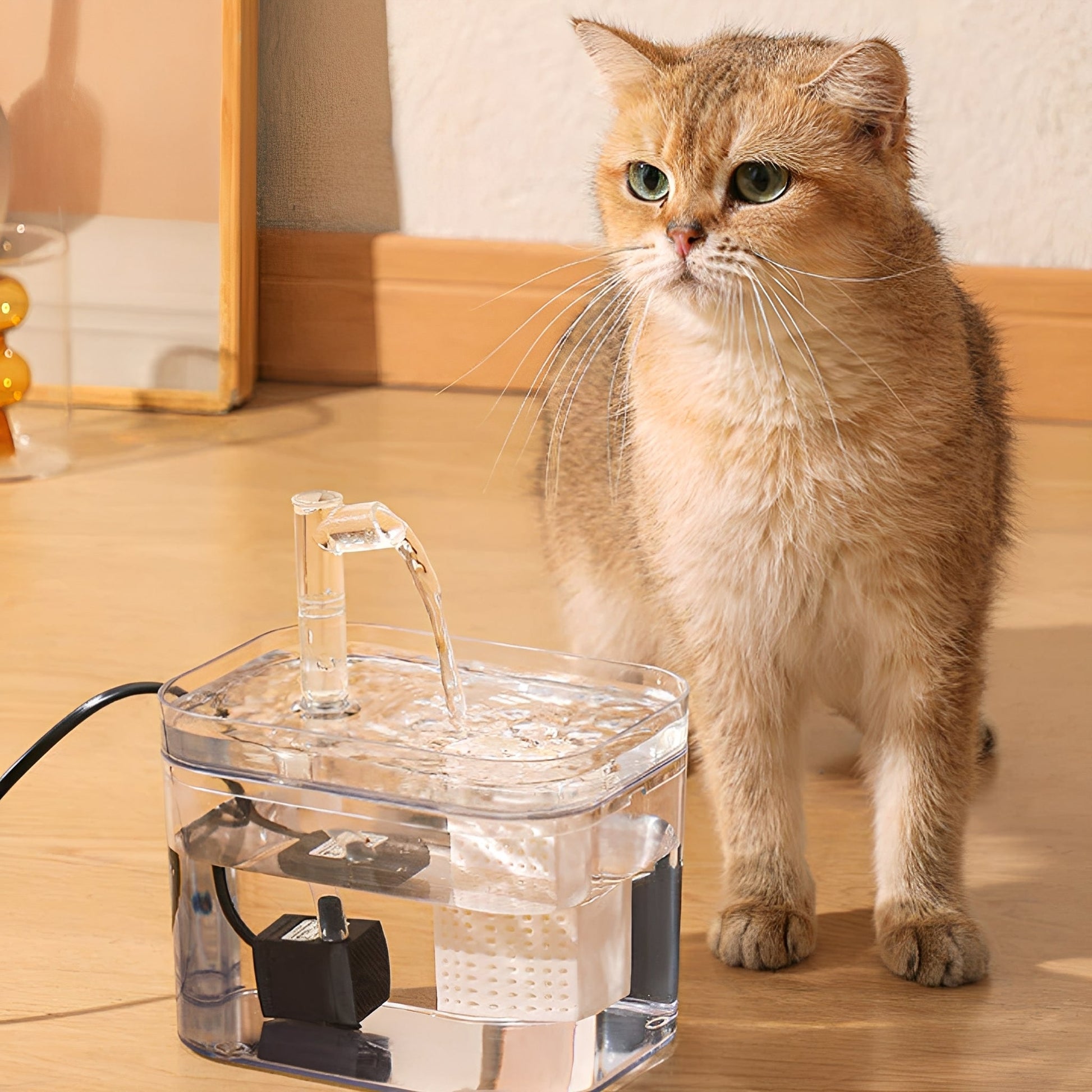 HydroPaws - Automatische Gefilterde Drinkfontein voor Huisdieren - Mivero