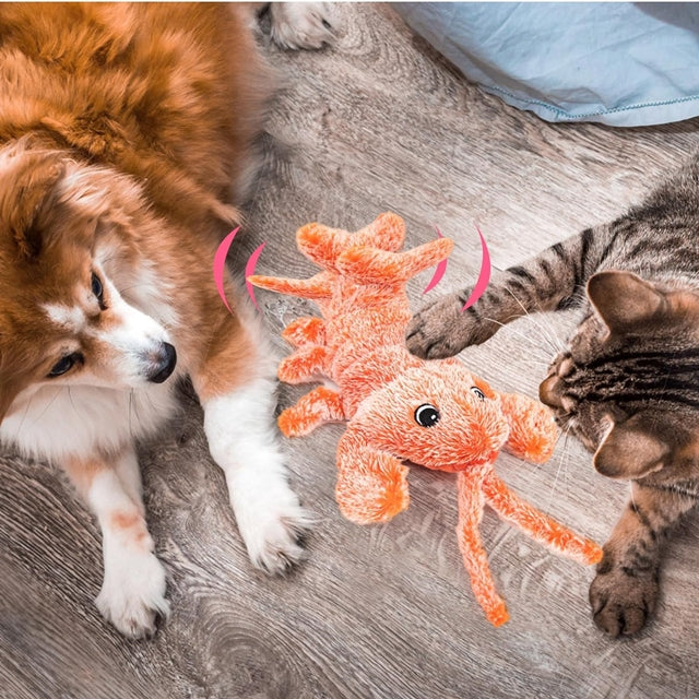 Lobby - De kreeft die je hond eindeloos vermaakt!