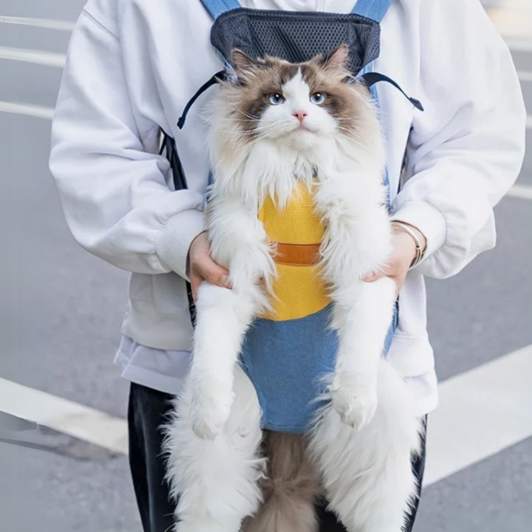 SnugTote - Handsfree Pet Draagzak