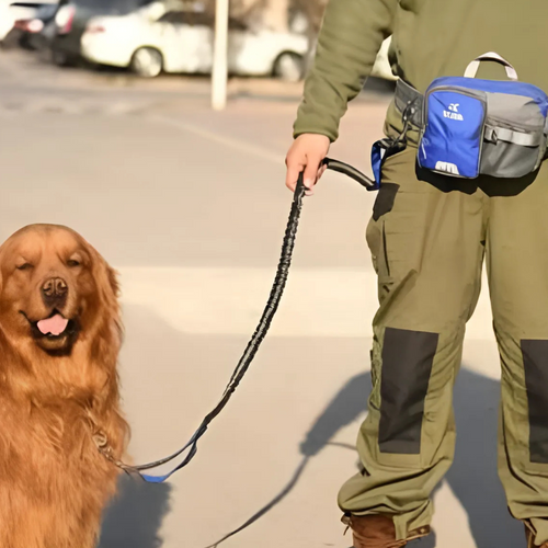 Stride - Shockabsorberende Handsfree Hondenriem
