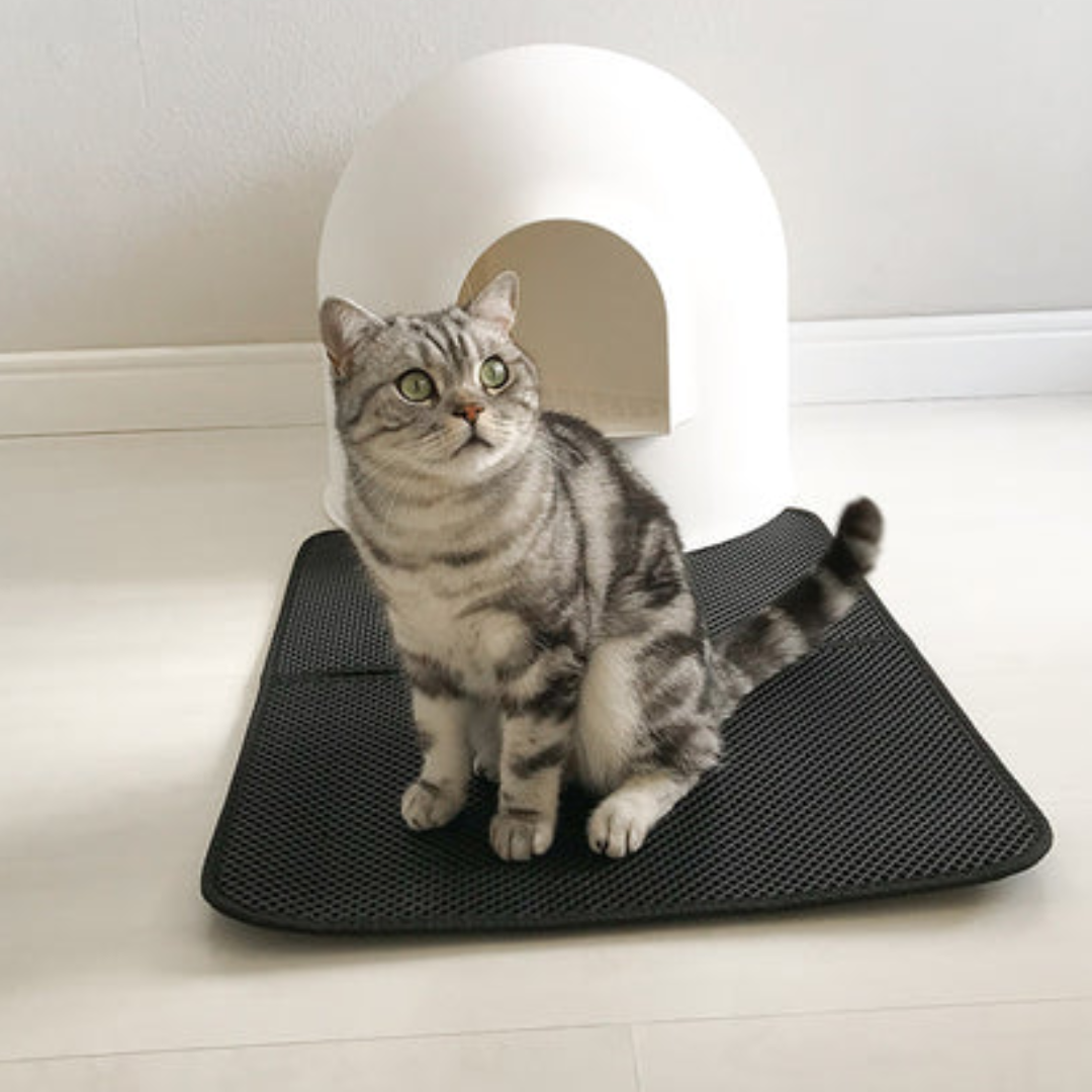 PawMat - Honeycomb Antislip Kattenmat
