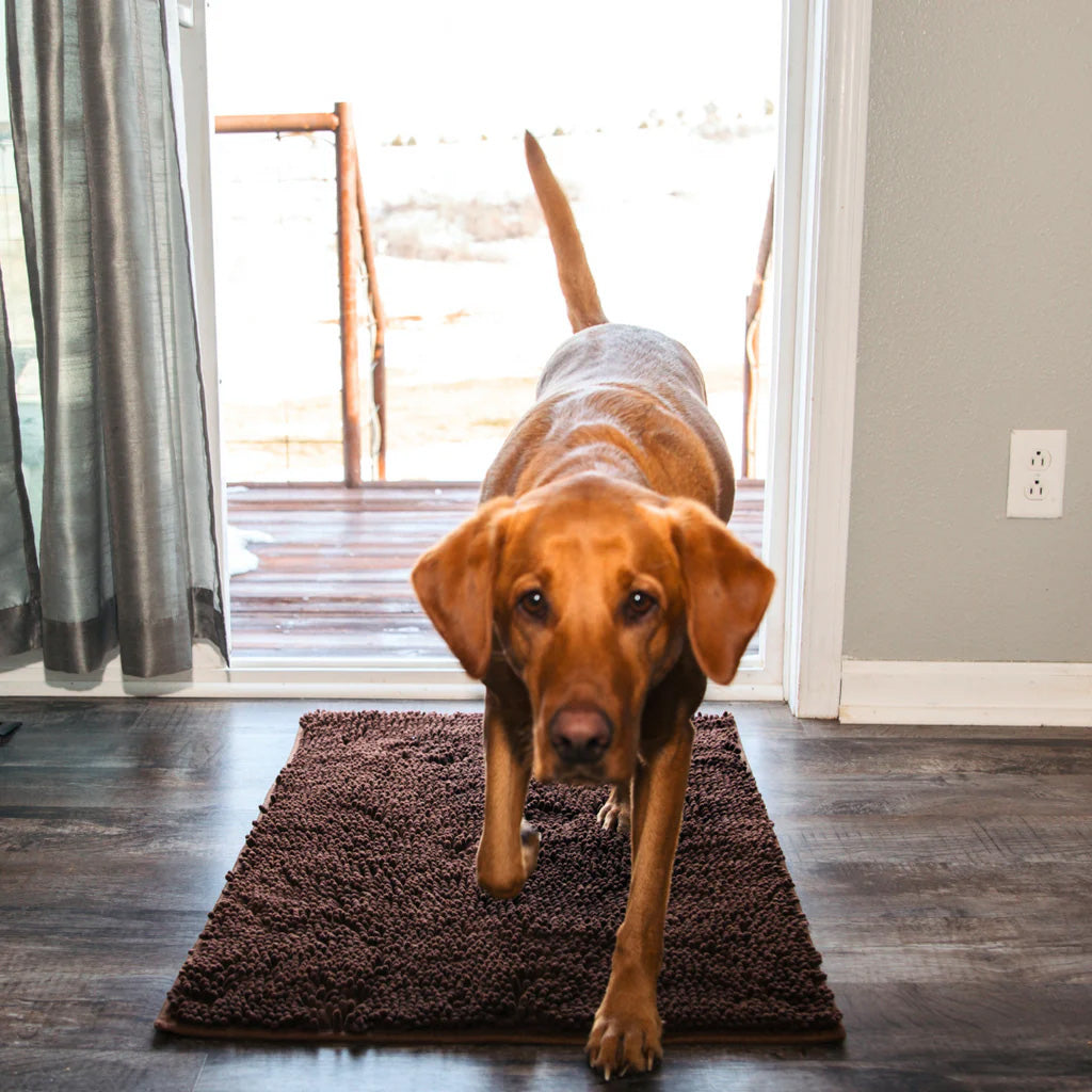 CleanPaw - Nooit meer last van vieze pootafdrukken in huis!