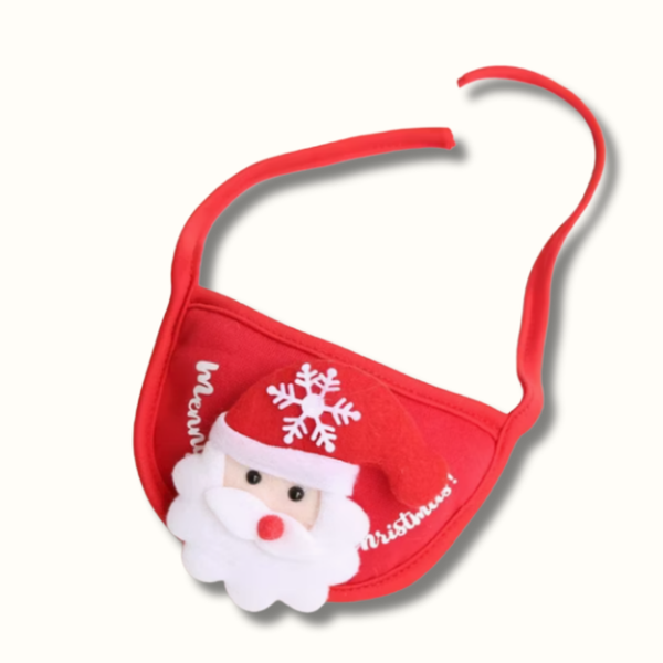 FestiPaws - Festive Pet Set