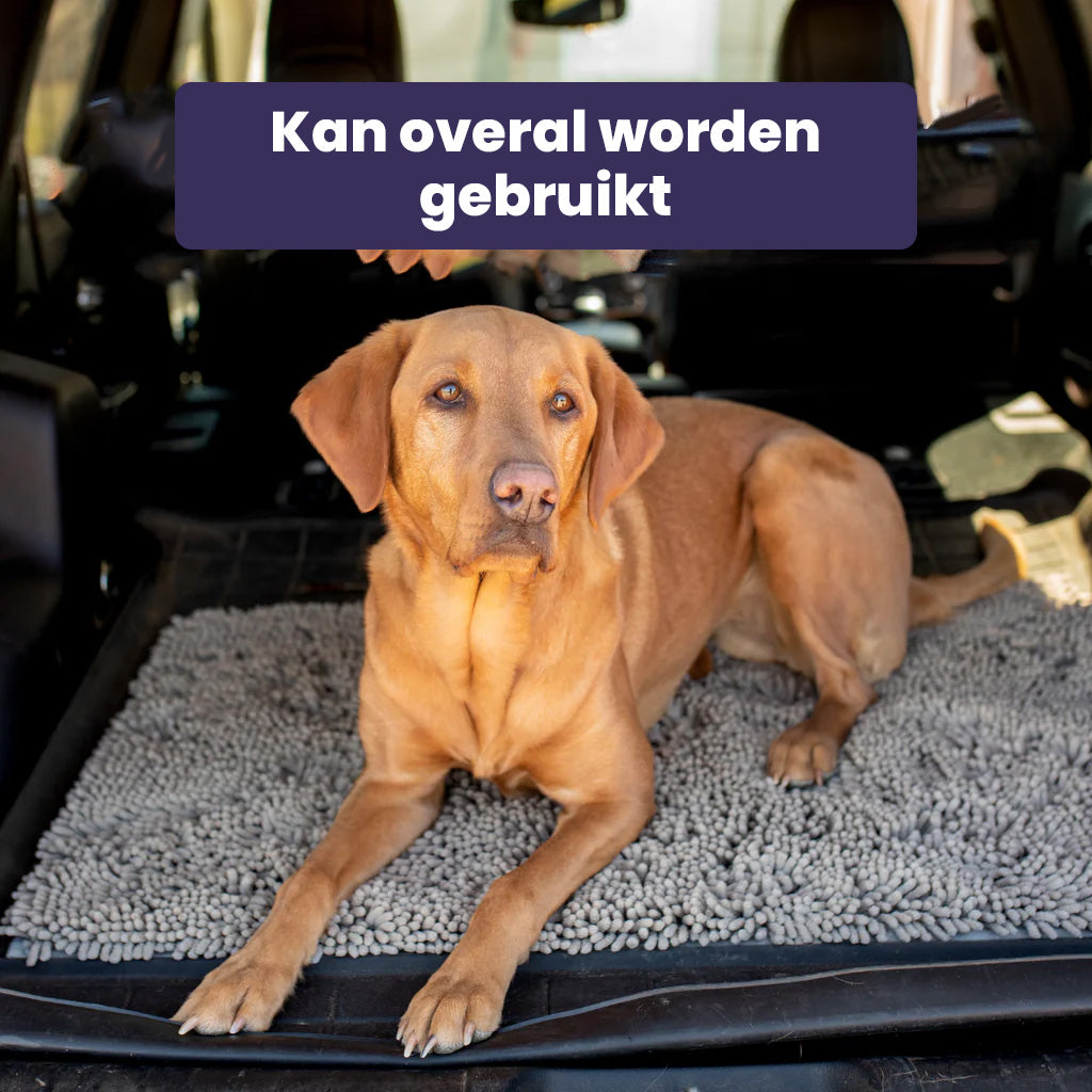 CleanPaw - Nooit meer last van vieze pootafdrukken in huis!