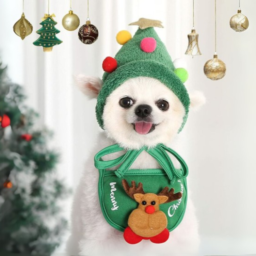 FestiPaws -  Verstelbare Feestelijke Huisdierenoutfit