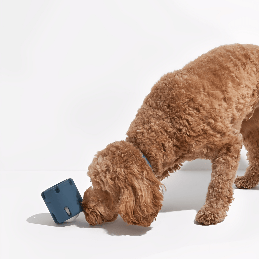 Kauwto - Interactief Barrel Hondenspeeltje - Mivero