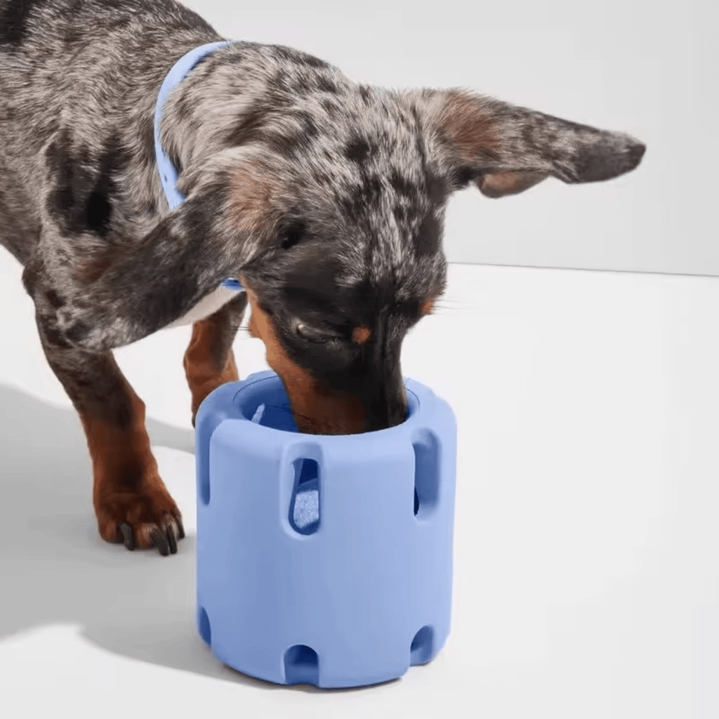 Kauwto - Interactief Barrel Hondenspeeltje - Mivero