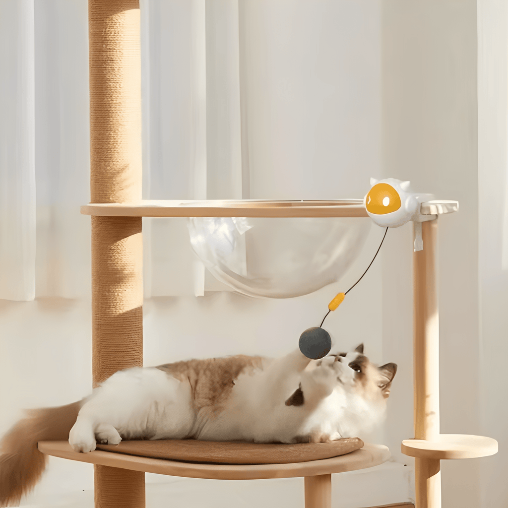 KittyBounce - Interactieve Oplaadbare Kattenbal - Mivero