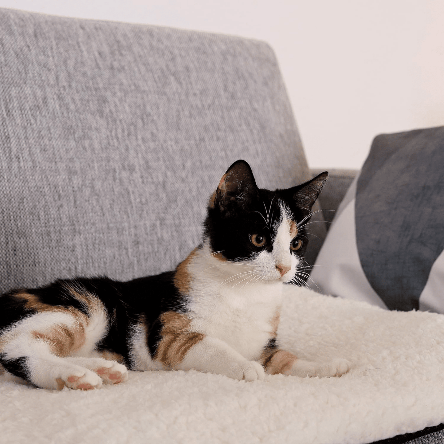 kozyra - warmtemat honden & katten zelfverwarmend - mivero