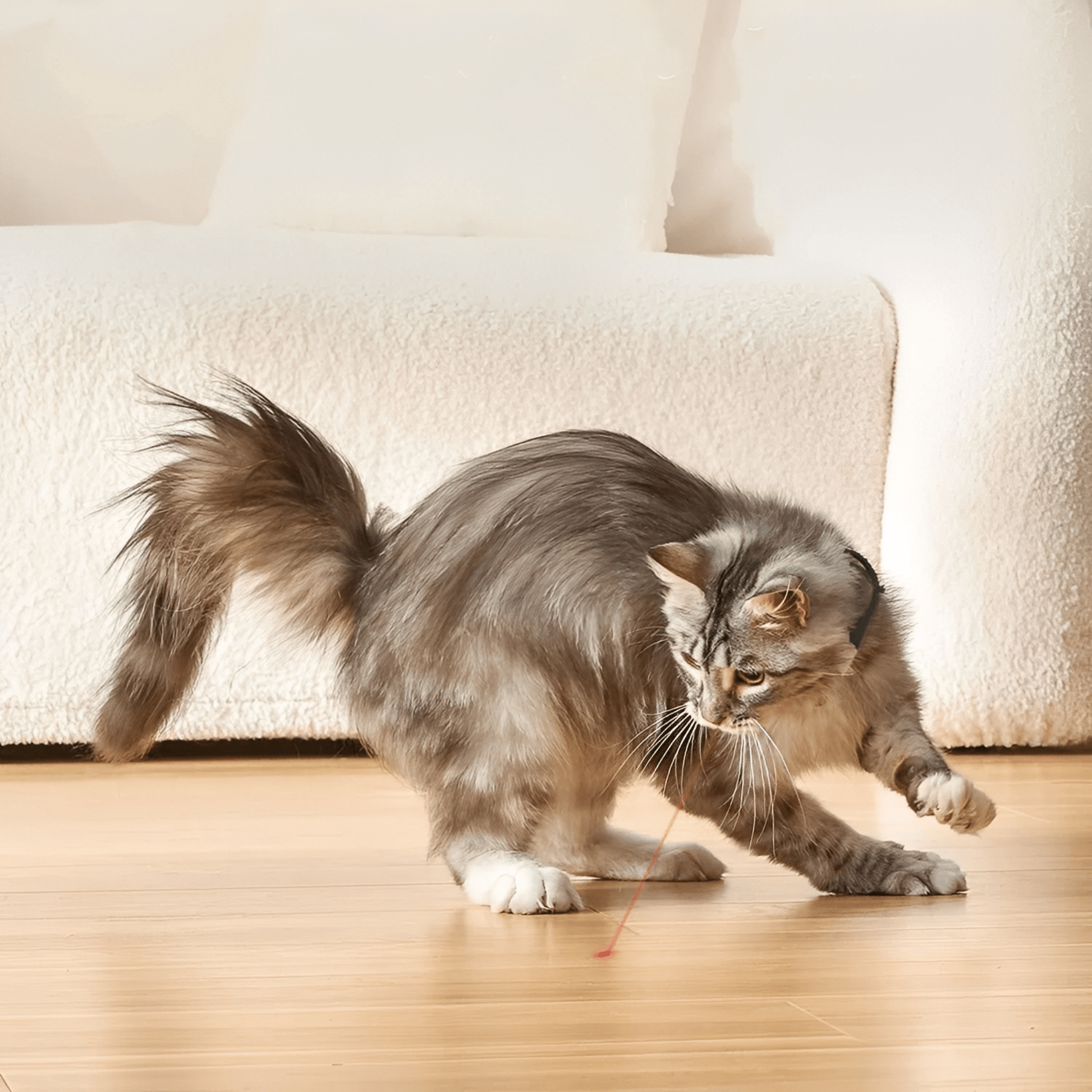 LaserPaw - Interactieve Huisdier Halsband - Mivero