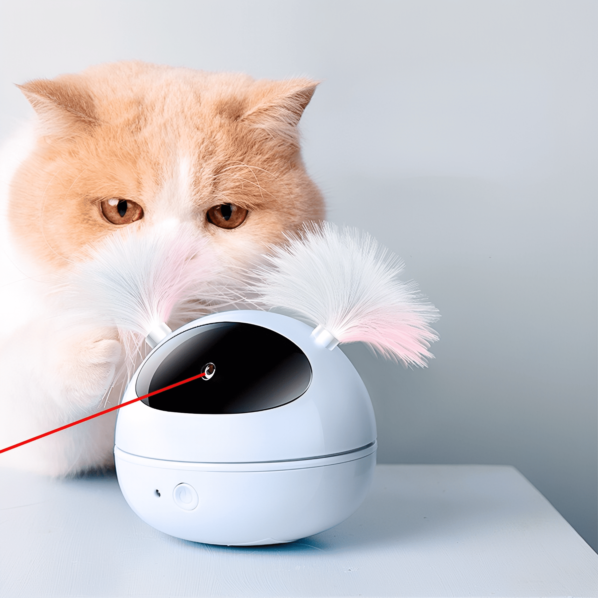 LazrLoop - Automatische Interactieve Kattenlaser - Mivero