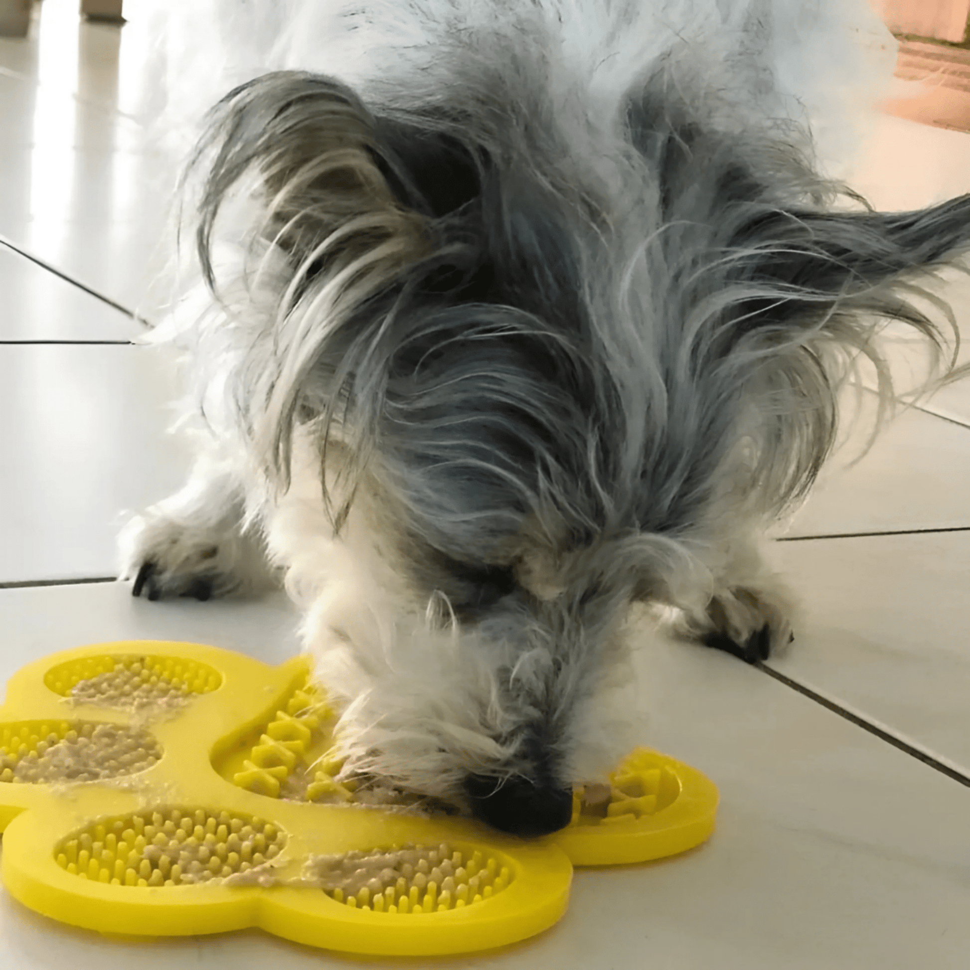 LickEase - Kalmerende Textuur Likmat - Mivero