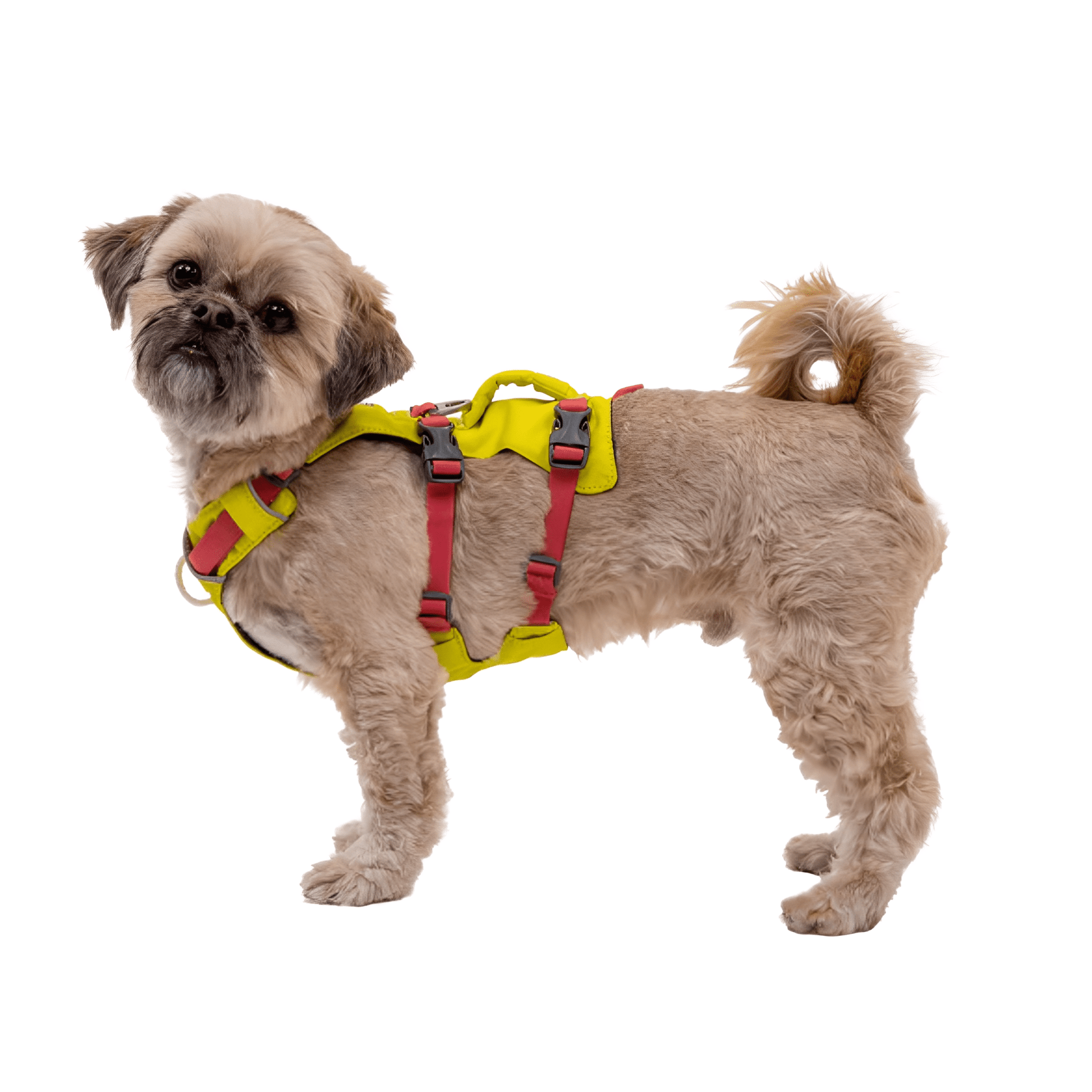 Lifta - Ondersteunend Verstelbaar Hondentuig - Mivero