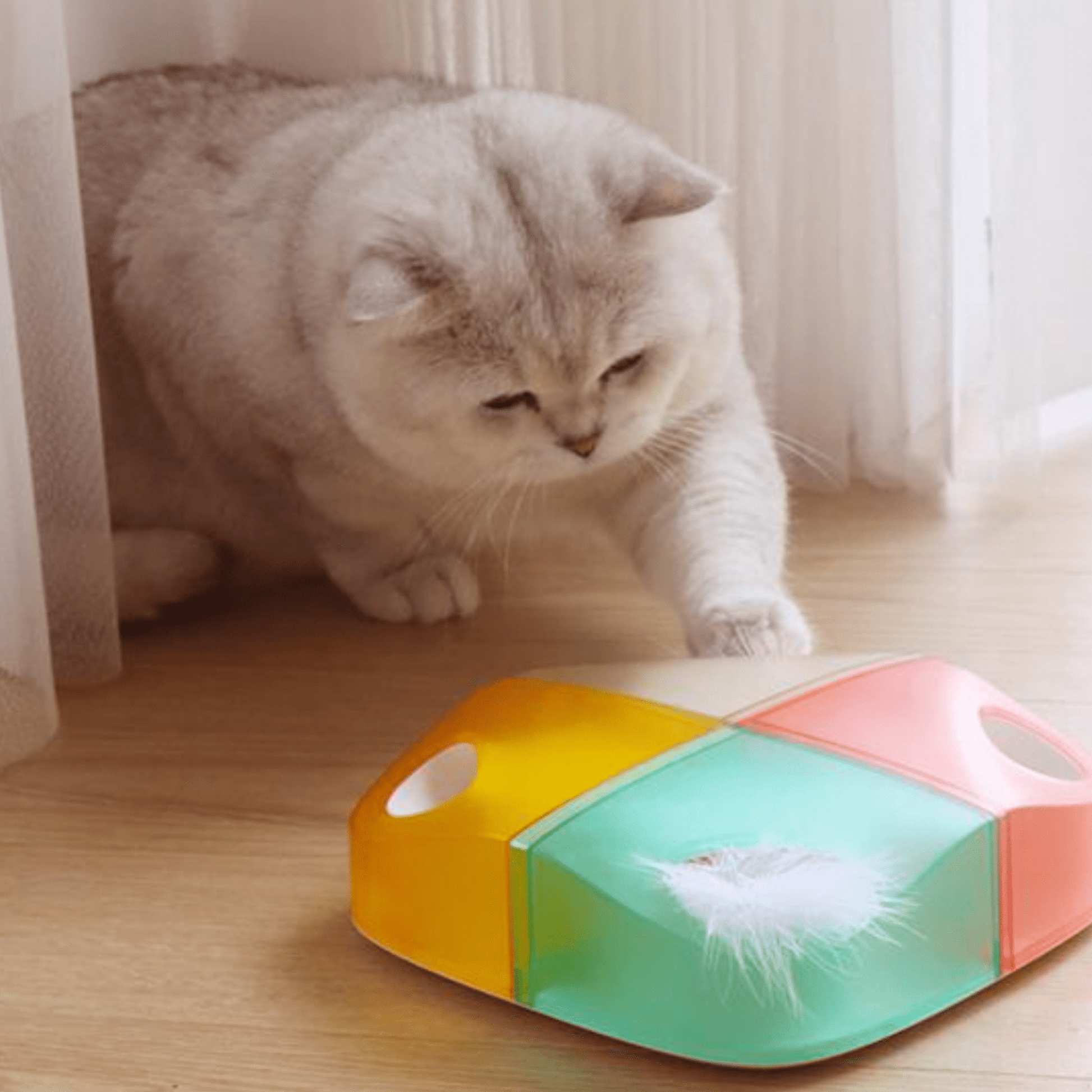Loopa - Automatisch Interactief Kattenspeeltje - Mivero