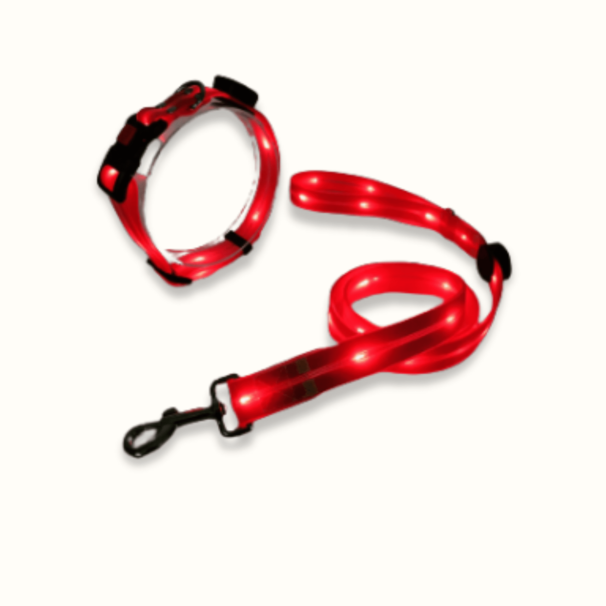 LumaPaw - Verlichte USB - Hondenhalsband - Mivero