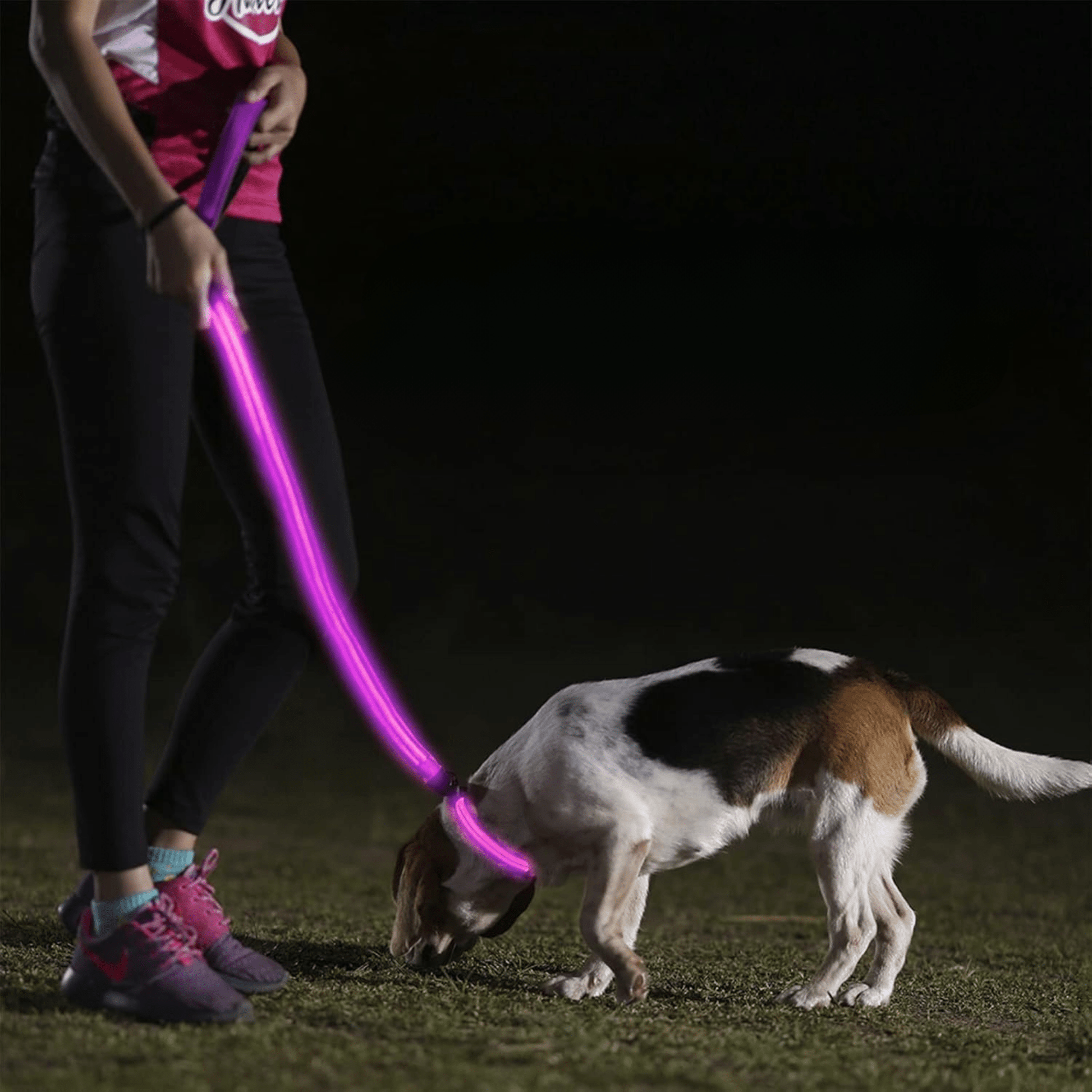 LumaPaw - Verlichte USB - Hondenhalsband - Mivero