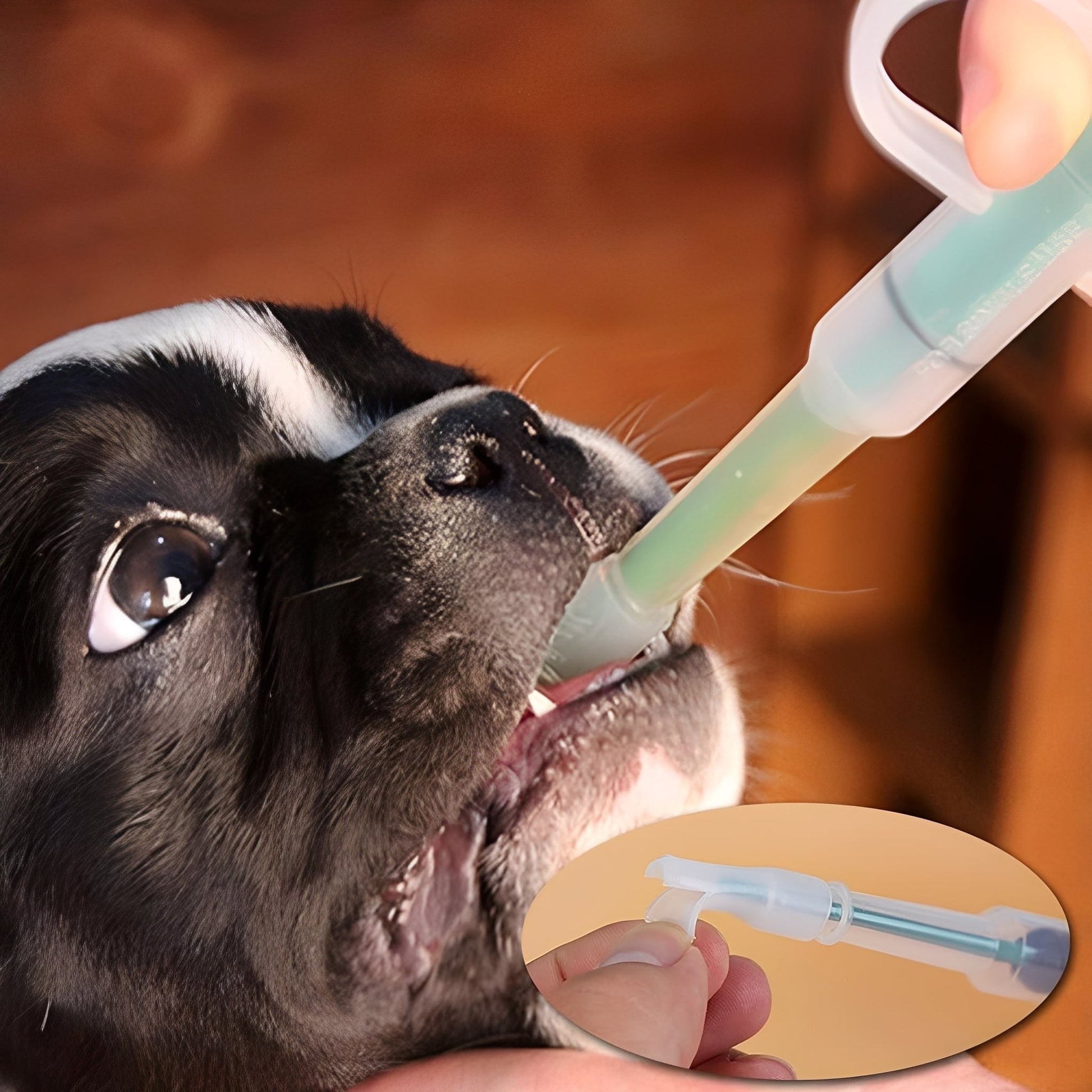 Medipaw - Silicone Medicatie Hond Injector - Mivero