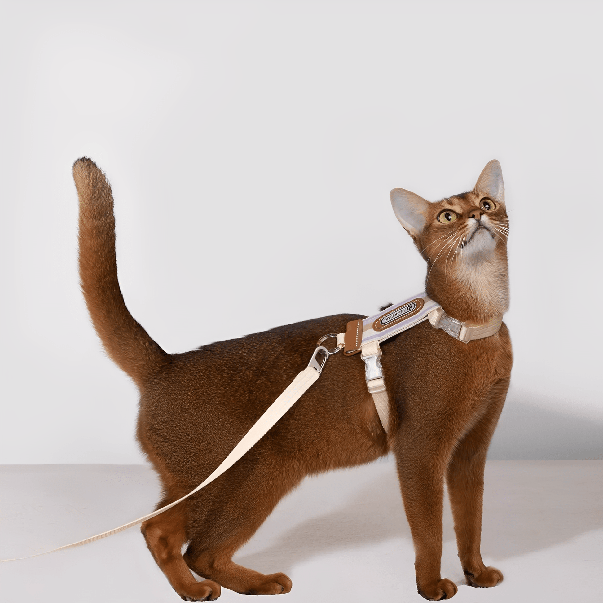 Meowalk - Reflecterend Ergonomisch Kattentuigje - Mivero