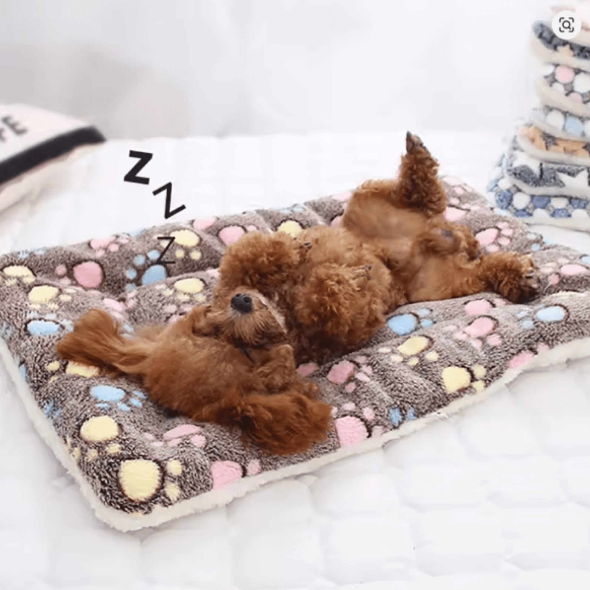 Meowla - Zachte Sterrenprint Kattendeken - Mivero