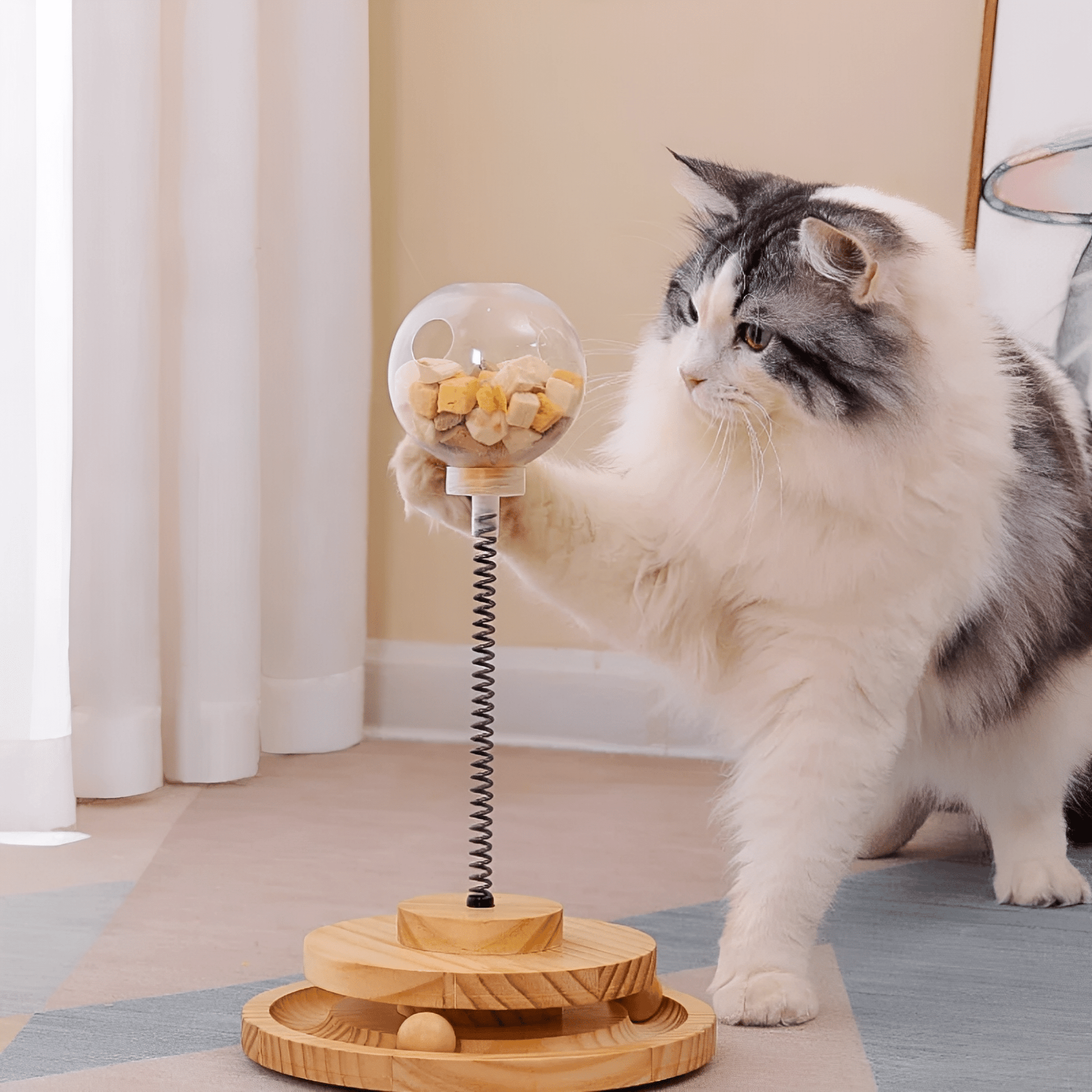 Meowtion - Houdt katten speels en nieuwsgierig - Mivero