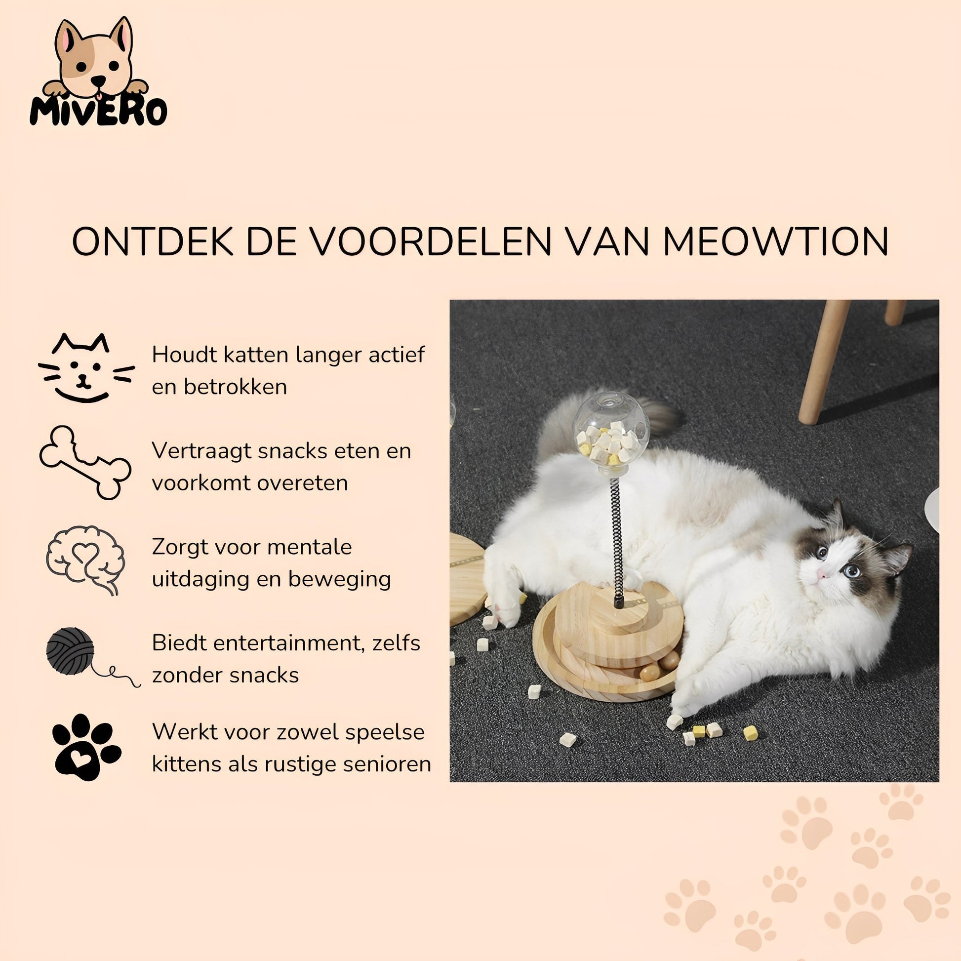 Meowtion - Houdt katten speels en nieuwsgierig - Mivero