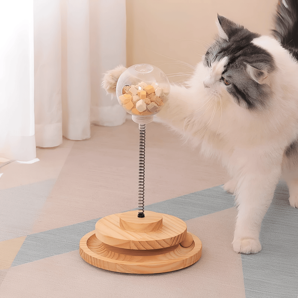 Meowtion - Houdt katten speels en nieuwsgierig - Mivero