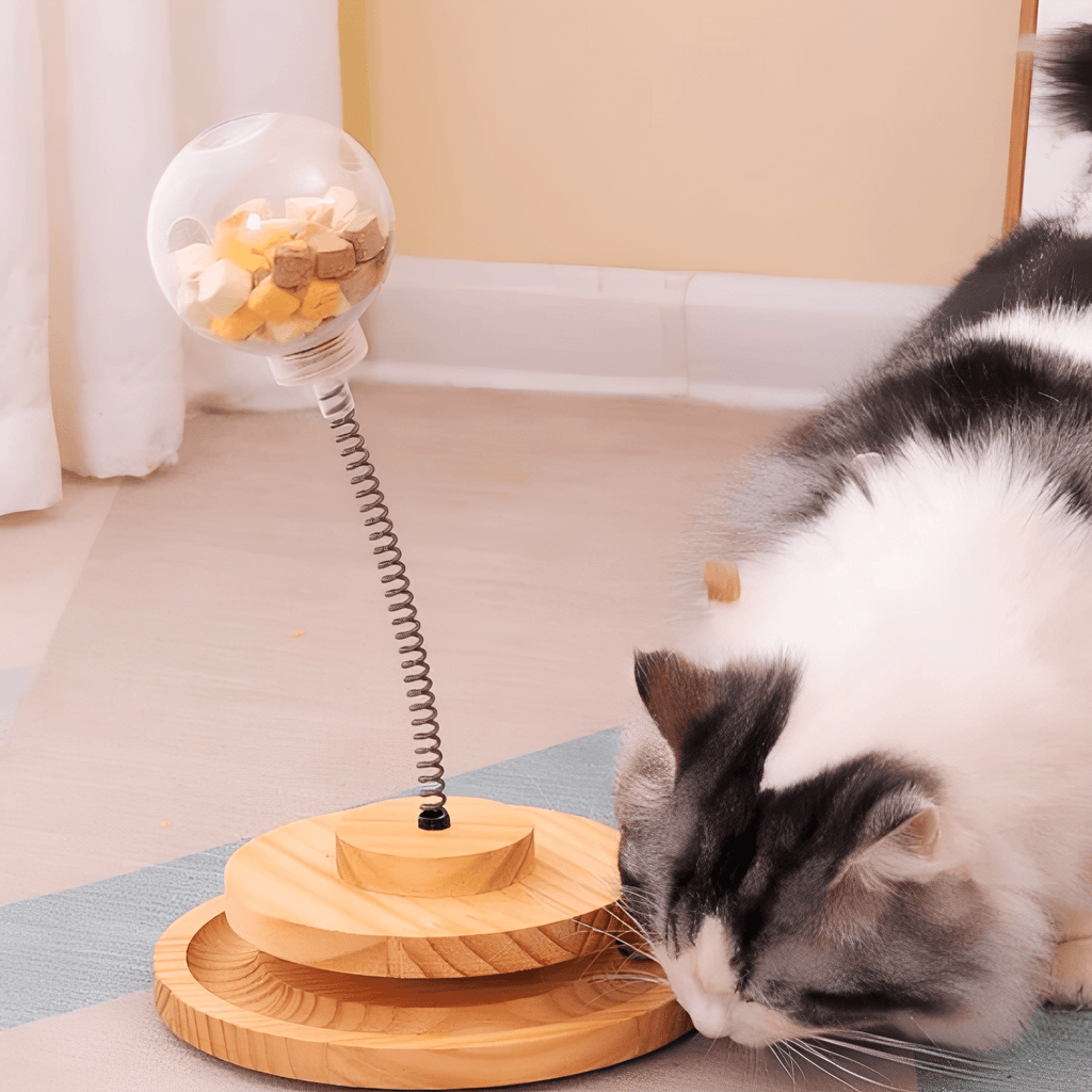 Meowtion - Houdt katten speels en nieuwsgierig - Mivero