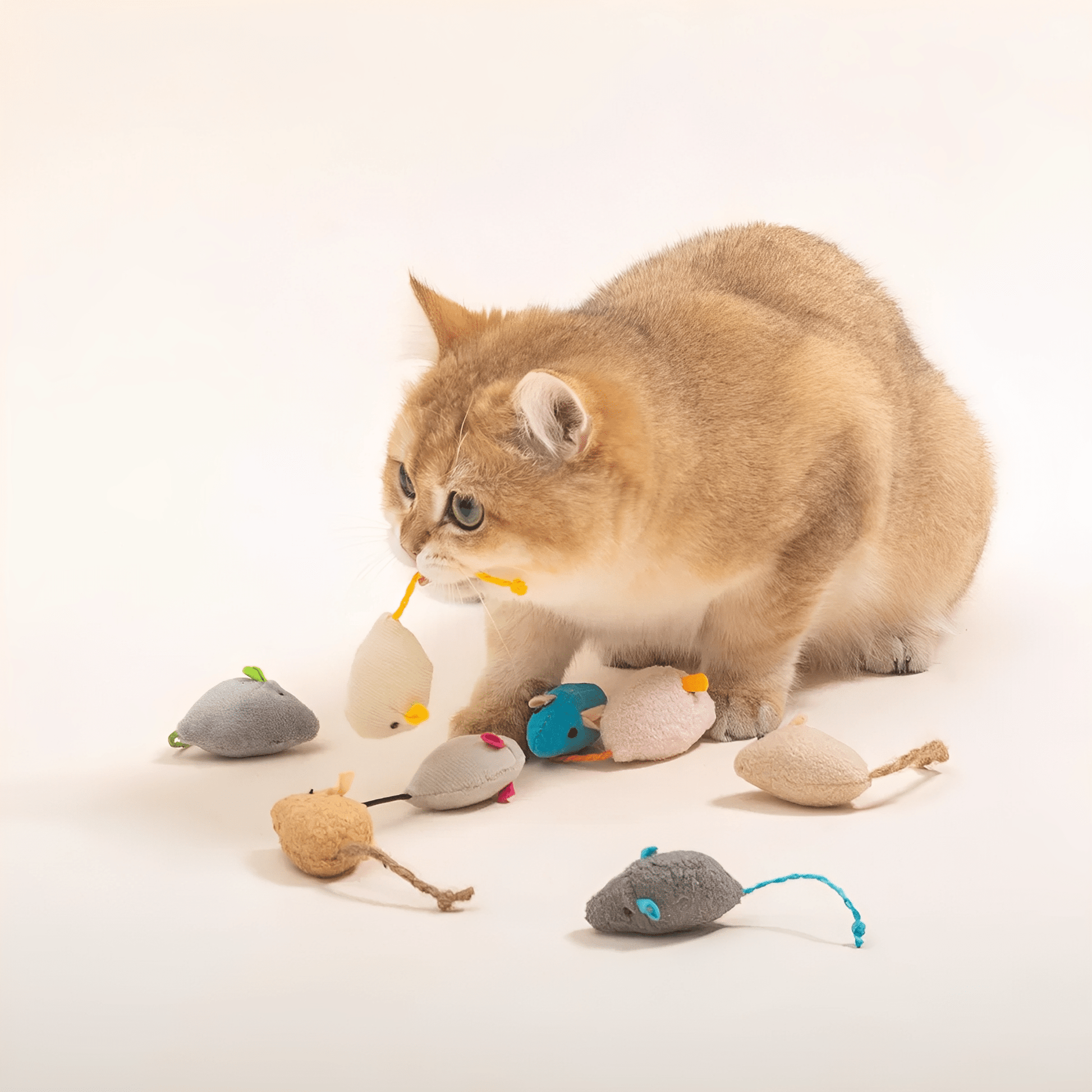 Meowza - Pluche Catnip Speelmuizen - Mivero