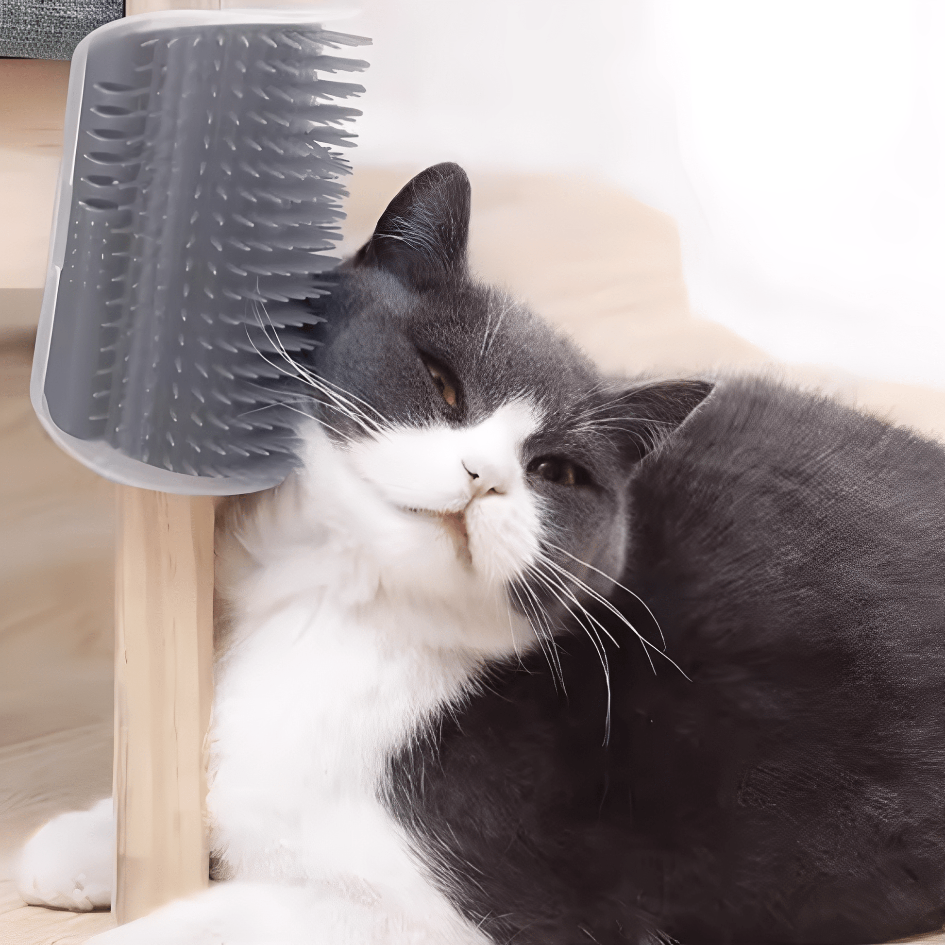 Mewssage - Zelfverzorgende Kattenborstel - Mivero